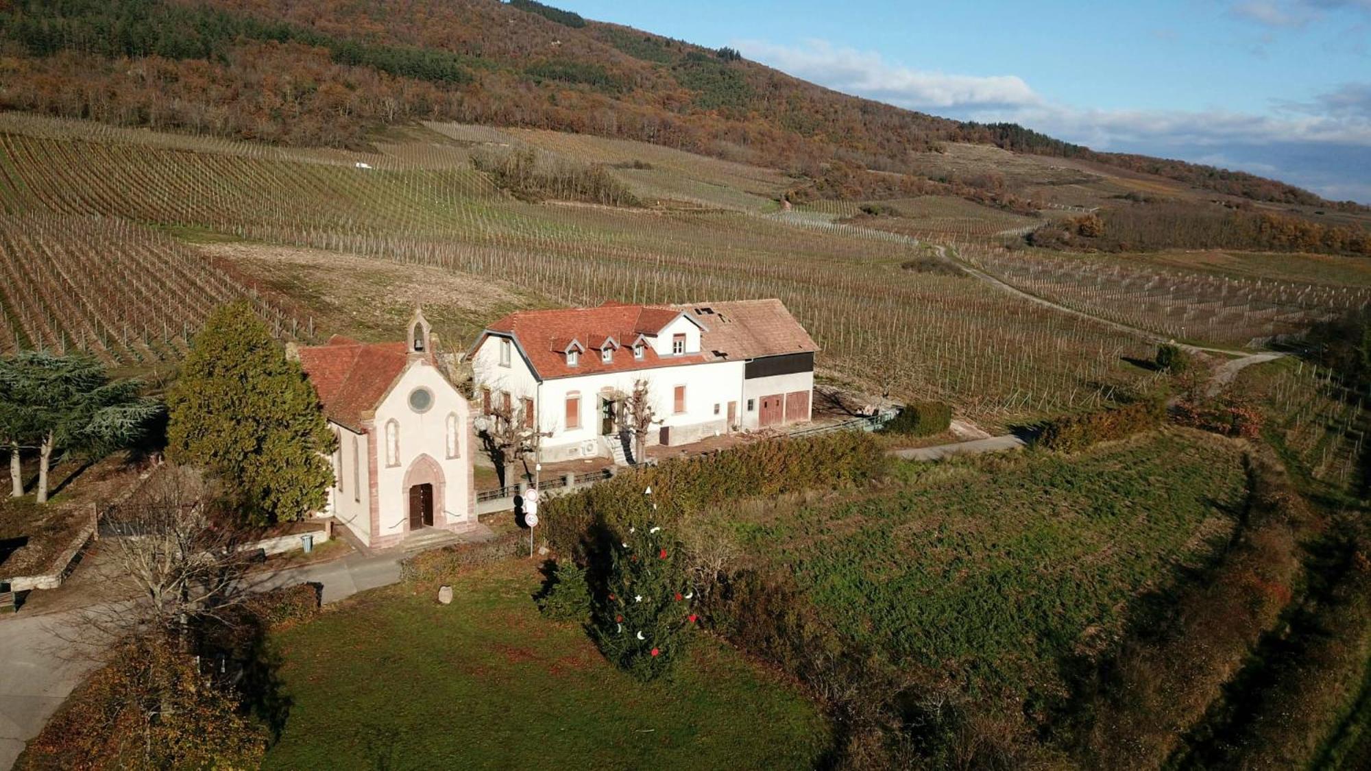 Le Du Taennel